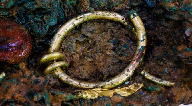 Archaeologists in Jersey found this solid gold torc hidden in a Celtic coin hoard