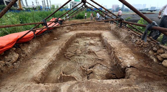 REMAINS OF HORSES FROM 2,700 YEARS AGO FOUND IN CHINESE FAMILY TOMB