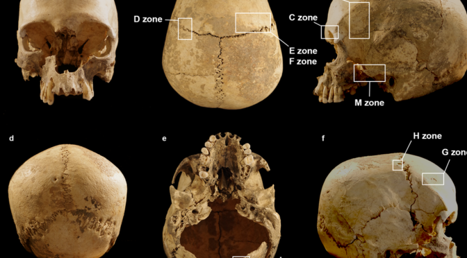 Archaeologists Solve Mystery of 5,600-Year-Old Skull Found in Italian Cave