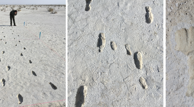 10,000-year-old footprints show journey of squirmy toddler and caregiver
