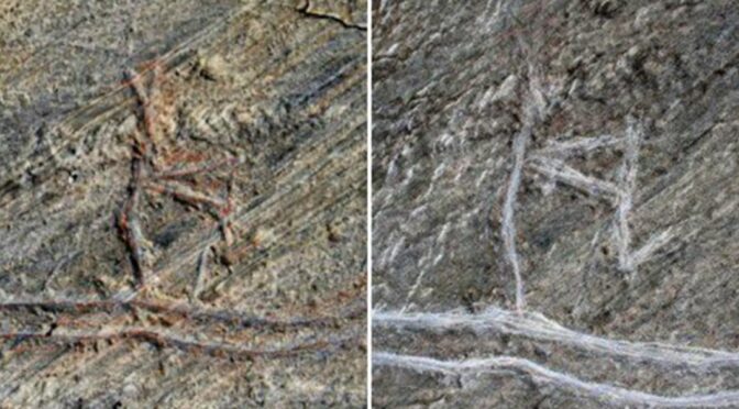 5,000-Year-Old Rock Carving Depicting Skier in Norway Destroyed by Youths