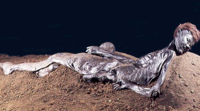 Archaeologists Discovered Grauballe Man, A Preserved Bog Body From The 3rd Century B.C