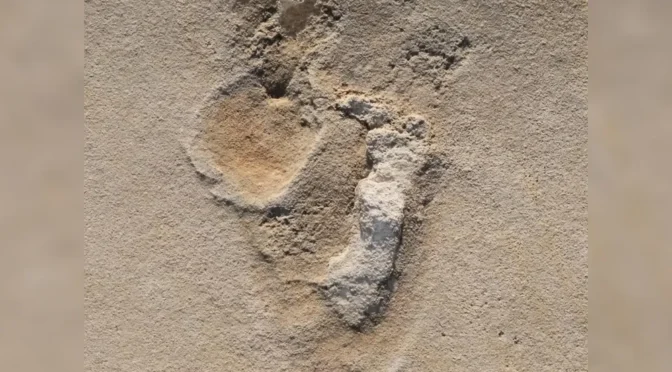 New Research Suggests Human-Like Footprints in Crete Date to 6.05 Million Years Ago