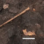 5,000-year-old 'bog body' found in Denmark may be a human sacrifice victim