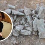 Metal Detectorist Milly Hardwick Finds Bronze Age Hoard of Axe Heads