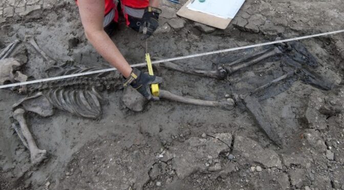 Medieval Skeleton Pulled From Thames, Still Wearing Thigh-High Leather Boots