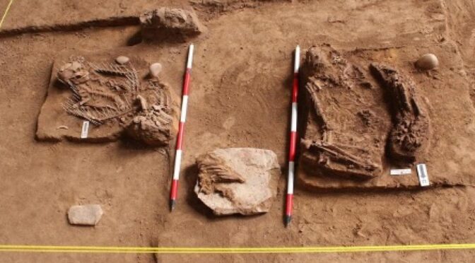 16,000-year-old skeleton, crystals and stone tools discovered in Malaysian caves